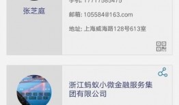 赛诺最新爆料信息查询,揭秘行业动态与市场趋势